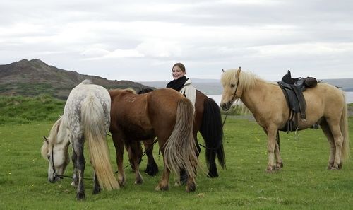 Le sud de l'Islande en exclusivité