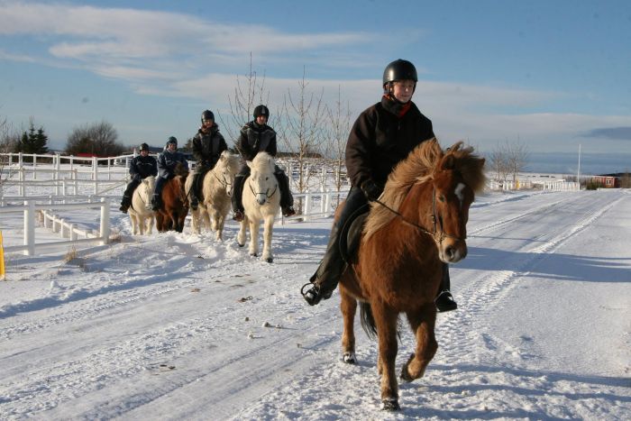 Les plaisirs de l'hiver en Islande