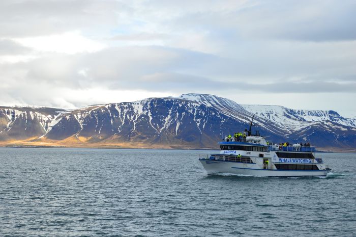 Les plaisirs de l'hiver en Islande