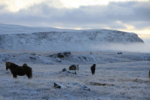Les plaisirs de l'hiver en Islande