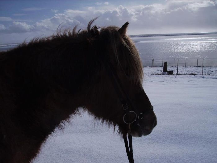 Les plaisirs de l'hiver en Islande