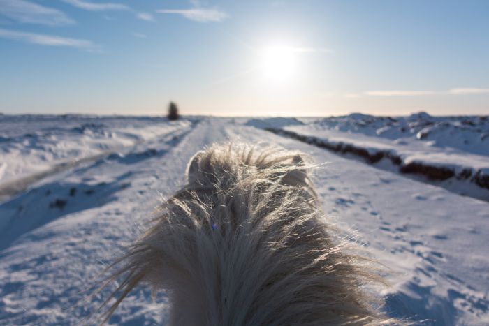 Les plaisirs de l'hiver en Islande