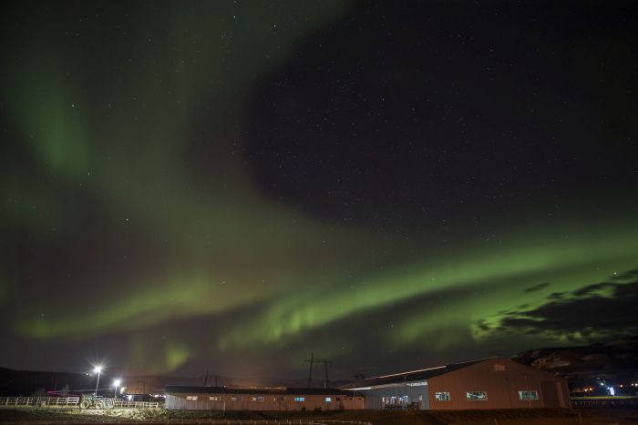 Les plaisirs de l'hiver en Islande