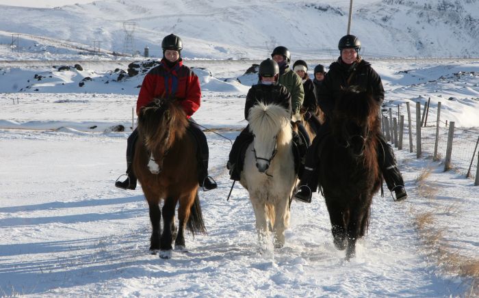 Les plaisirs de l'hiver en Islande