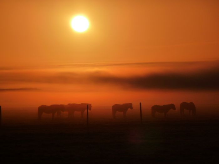 Les plaisirs de l'hiver en Islande