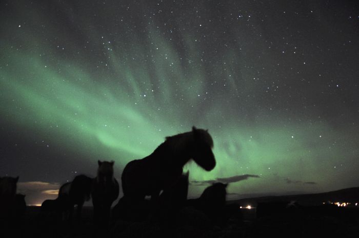 Les plaisirs de l'hiver en Islande
