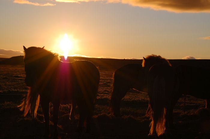 Les plaisirs de l'hiver en Islande