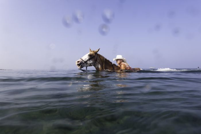 Vacances à cheval à la plage