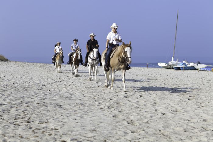Vacances à cheval à la plage