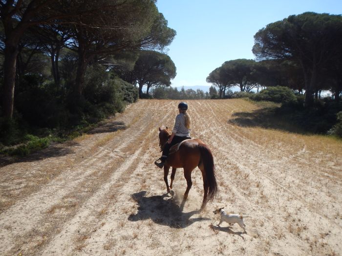 Vacances à cheval à la plage
