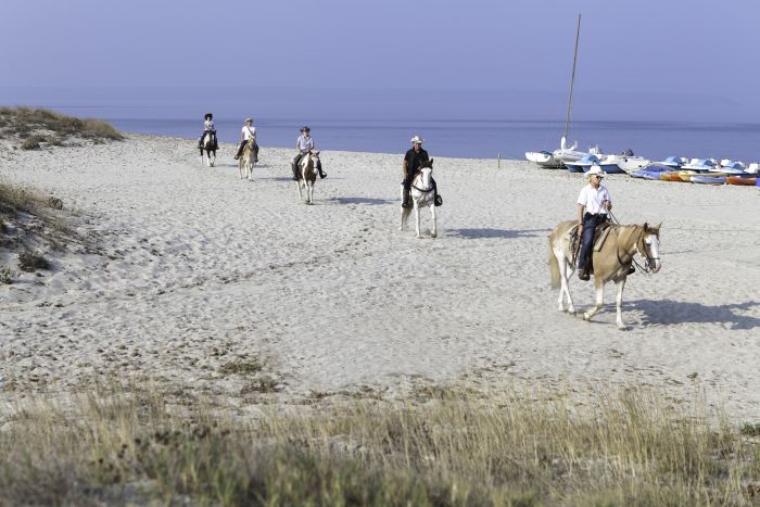 Vacances à cheval à la plage