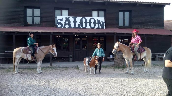 Vacances à cheval à la plage