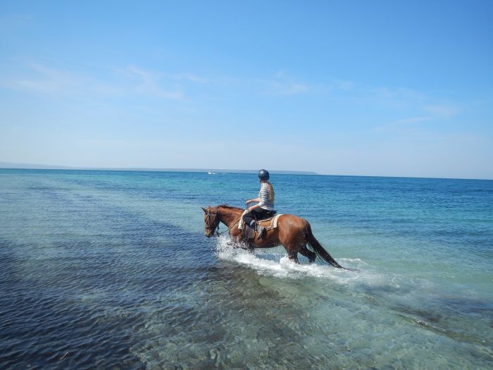 Vacances à cheval à la plage