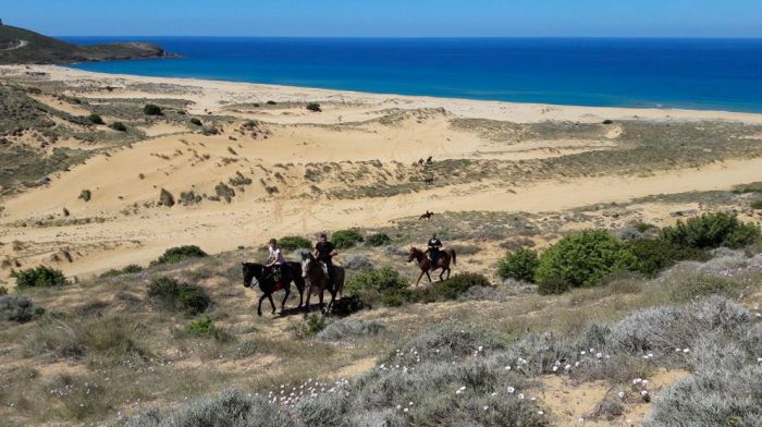 Vacances à cheval à la plage