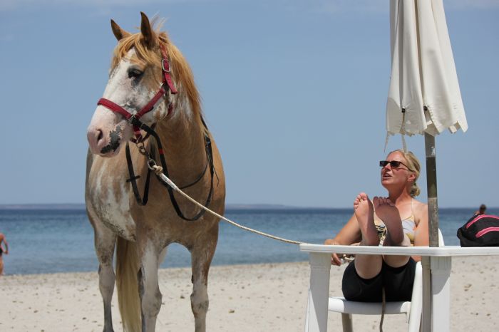 Vacances à cheval à la plage