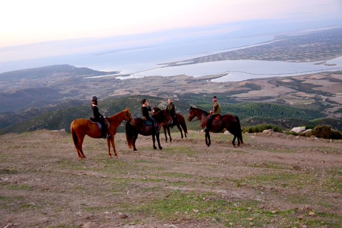 Vacances à cheval à la plage