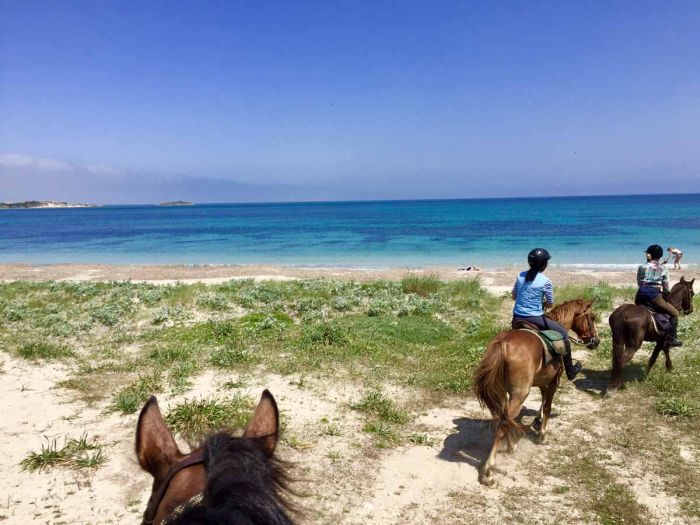 Vacances à cheval à la plage