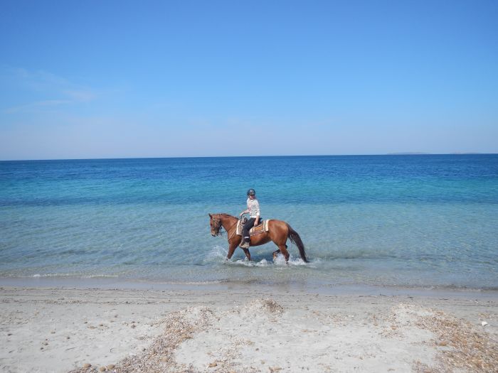 Vacances à cheval à la plage