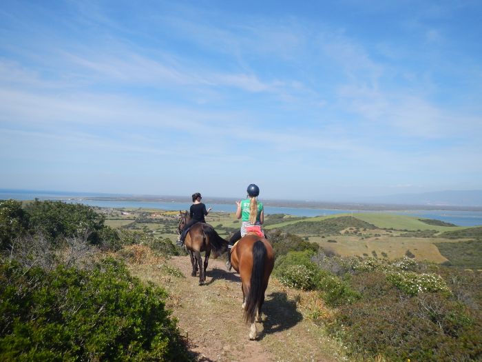 Vacances à cheval à la plage