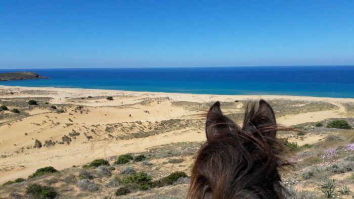 Vacances à cheval à la plage