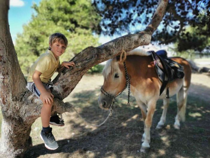 Vacances à cheval à la plage