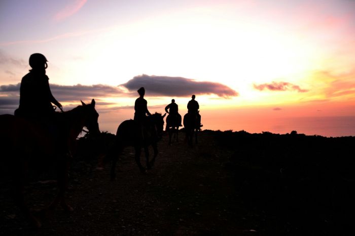 Vacances à cheval à la plage