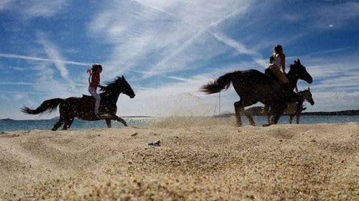 Costa Smeralda - Ferme équestre au bord de la mer