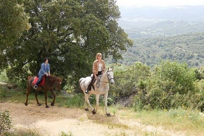 Costa Smeralda - Ferme équestre au bord de la mer