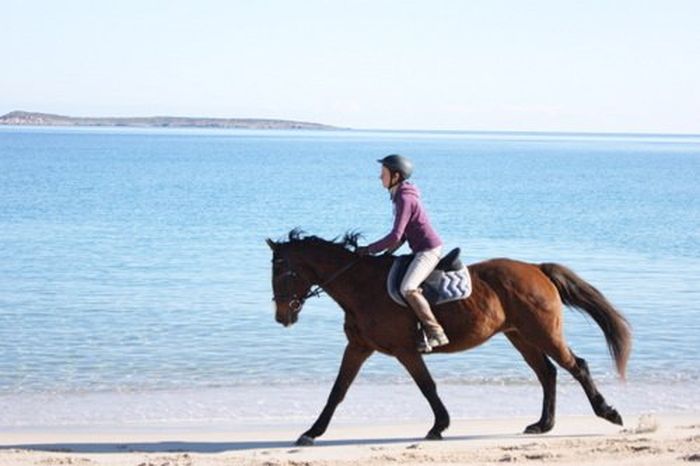 Costa Smeralda - Ferme équestre au bord de la mer