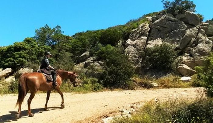 Costa Smeralda - Ferme équestre au bord de la mer