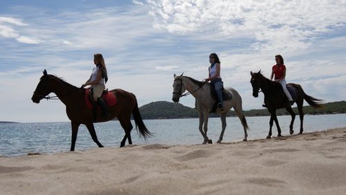Costa Smeralda - Ferme équestre au bord de la mer