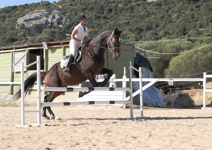Costa Smeralda - Ferme équestre au bord de la mer