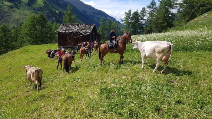 Randonnées dans les Alpes valaisannes