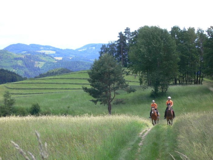 Randonnées à la Mühlviertl Alm (Alpages)
