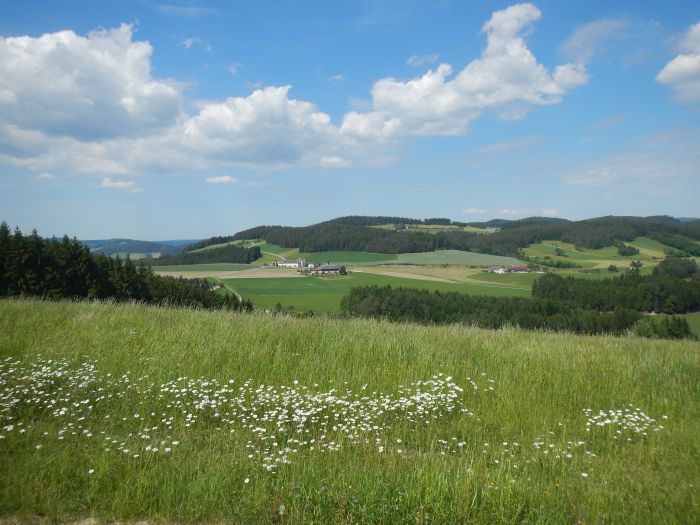 Randonnées à la Mühlviertl Alm (Alpages)
