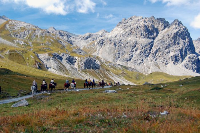 Randonnées panoramiques à travers les Alpes