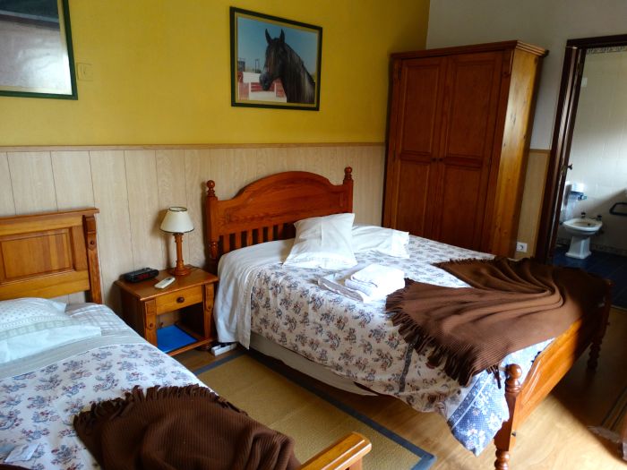 Perfectionnement en dressage & Working Equitation avec les Lusitaniens d'Alcainça Accomodation