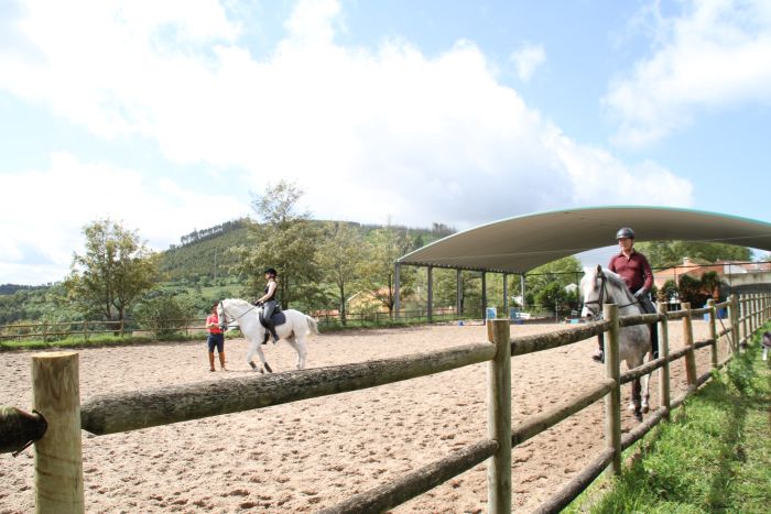 Perfectionnement en dressage & Working Equitation avec les Lusitaniens d'Alcainça
