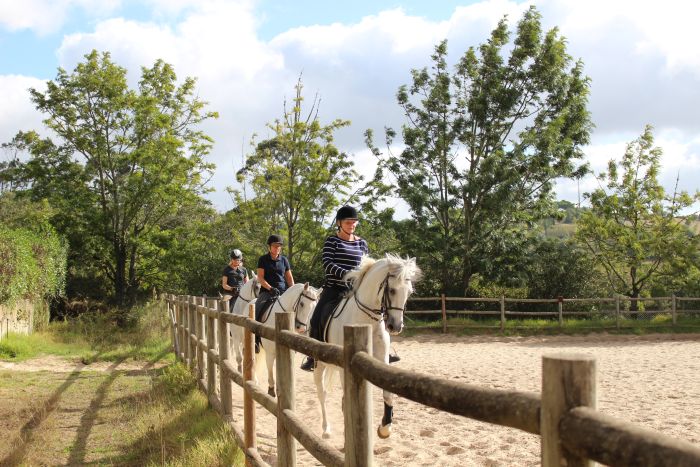 Perfectionnement en dressage avec des Lusitaniens à Alcainca