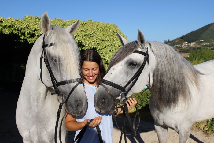 Perfectionnement en dressage avec des Lusitaniens à Alcainca