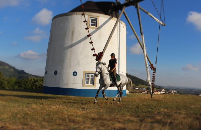 Perfectionnement en dressage avec des Lusitaniens à Alcainca