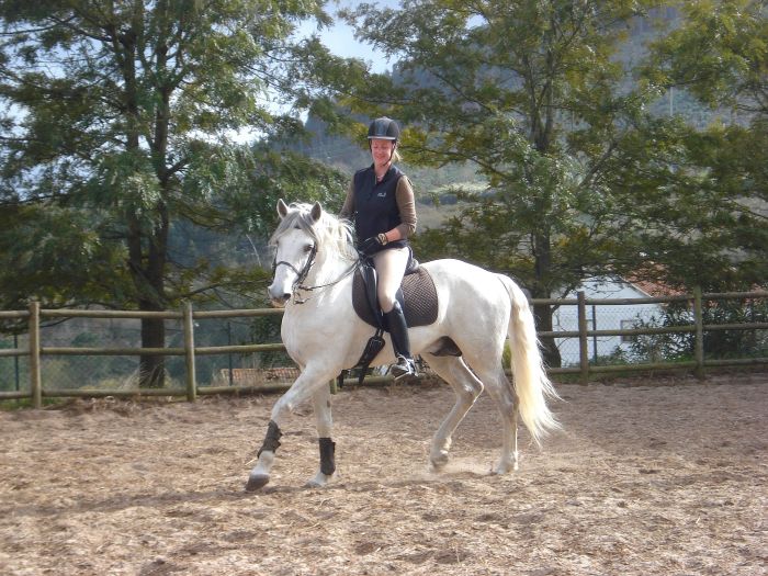 Perfectionnement en dressage avec des Lusitaniens à Alcainca