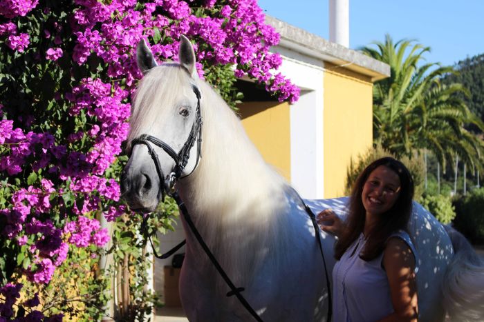 Perfectionnement en dressage avec des Lusitaniens à Alcainca