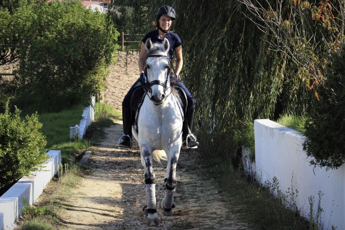 Perfectionnement en dressage avec des Lusitaniens à Alcainca