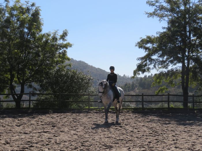 Perfectionnement en dressage avec des Lusitaniens à Alcainca