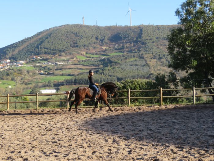 Perfectionnement en dressage avec des Lusitaniens à Alcainca