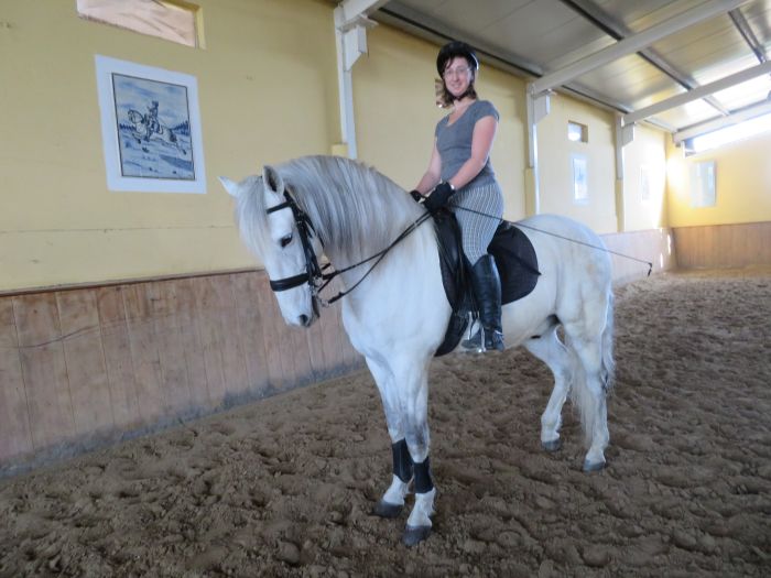 Perfectionnement en dressage avec des Lusitaniens à Alcainca