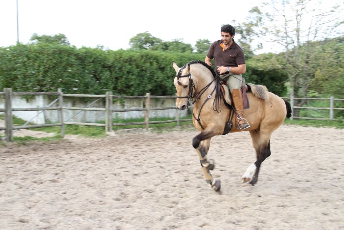 Perfectionnement en dressage avec des Lusitaniens à Alcainca