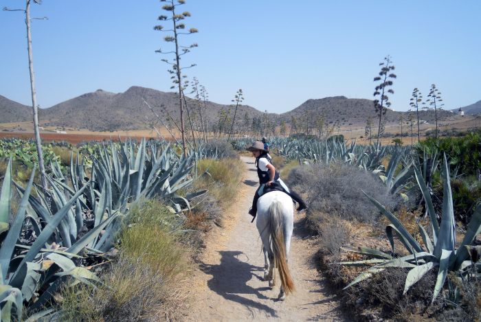 Balades en étoile à Cabo de Gata