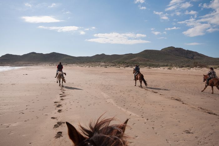 Balades en étoile à Cabo de Gata